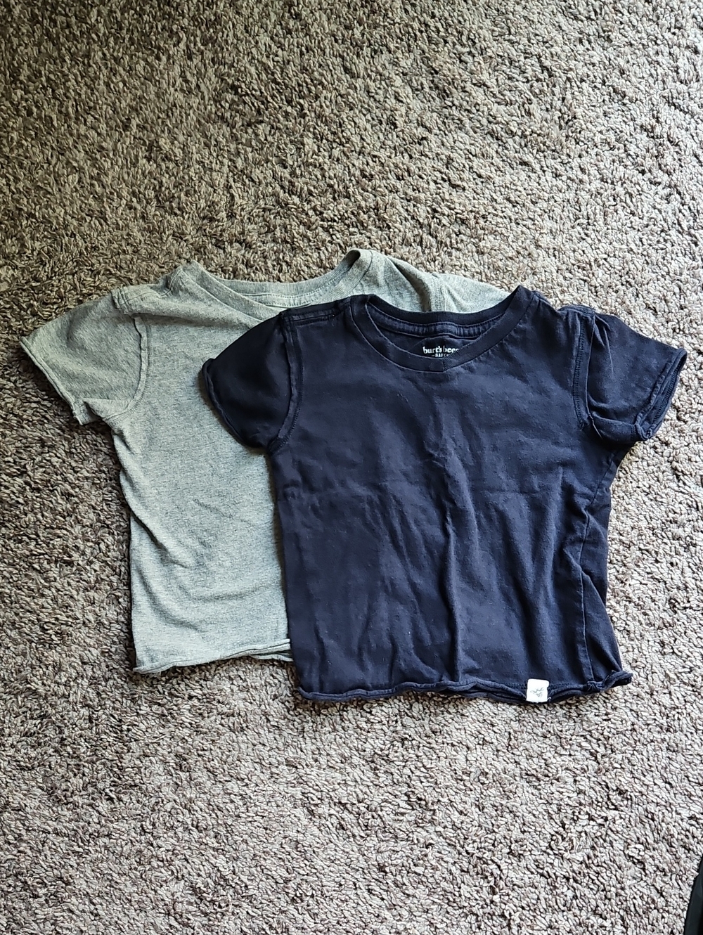 Bundle of 2 GUC Burt's Bees Baby Organic Cotton Tees Navy Gray Size 24 Months